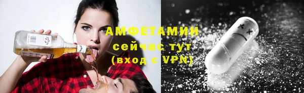 индика Осинники