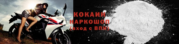 индика Осинники
