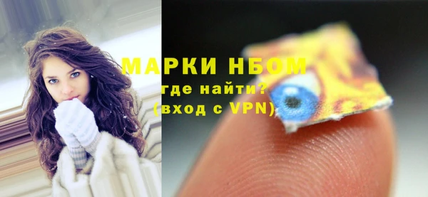 индика Осинники