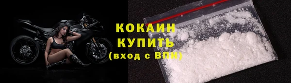 индика Осинники