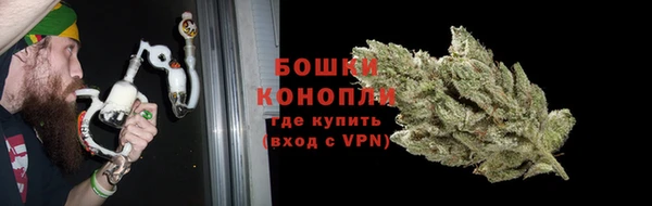 индика Осинники