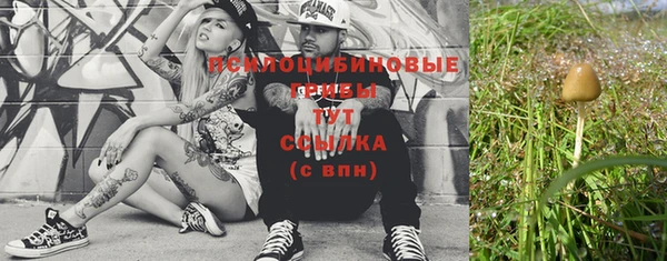 индика Осинники