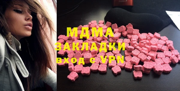 индика Осинники