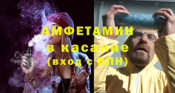 индика Осинники