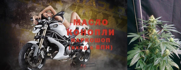 индика Осинники