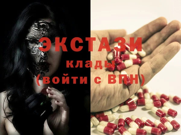 индика Осинники
