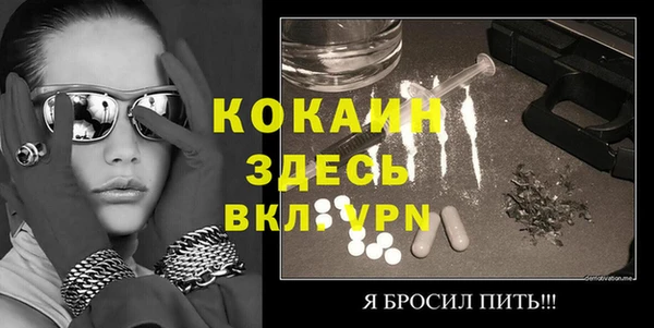 индика Осинники