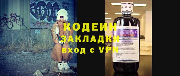 индика Осинники