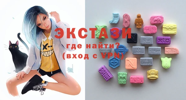 индика Осинники