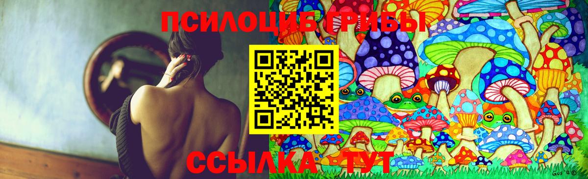 Псилоцибиновые грибы Magic Shrooms  Вход с VPN  Рассказово  Галлюциногенные грибы Magic Shrooms 